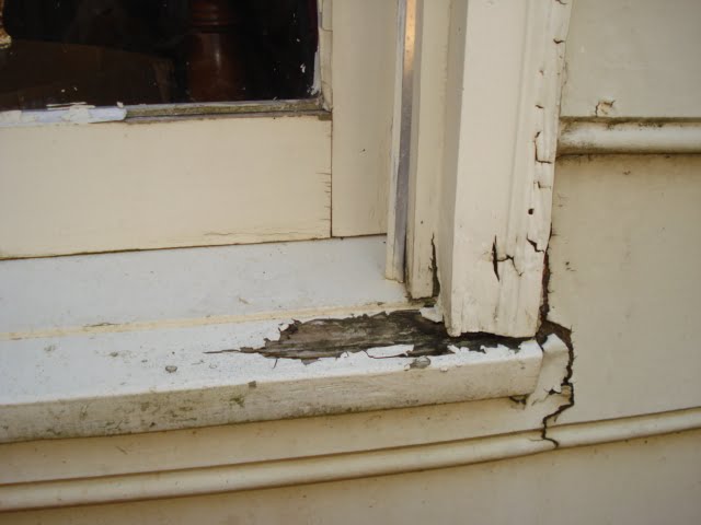 houtrot reparatie purmerend monnickendam