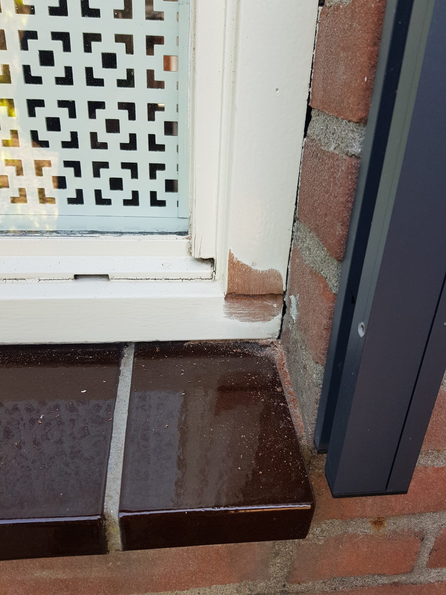 Houtrot reparatie Purmerend Monnickendam